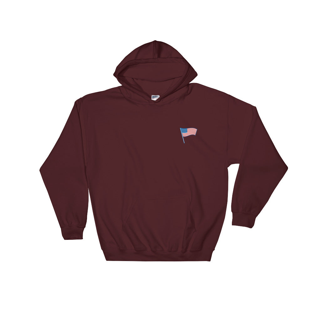 USA Hooded Sweatshirt